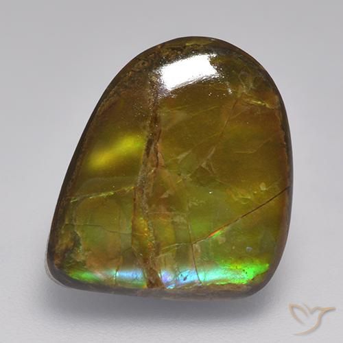 amolita Multicolor natural de 10.46 ct, Elegante, Opaco