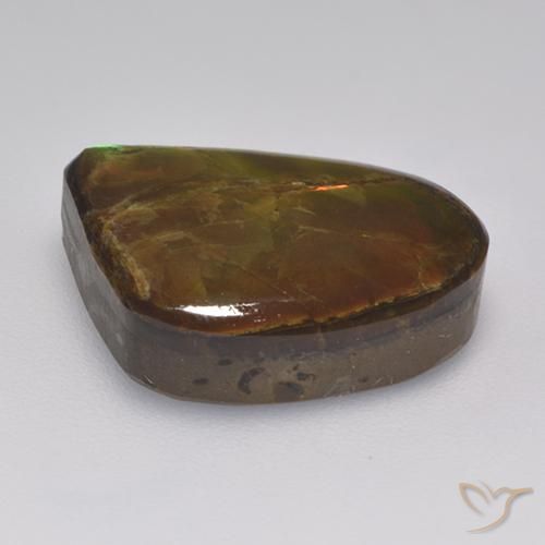 amolita Multicolor natural de 10.46 ct, Elegante, Opaco