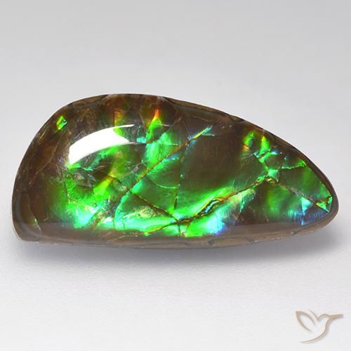 10.29ct Natural Multicolor amolita, Elegante, Opaco