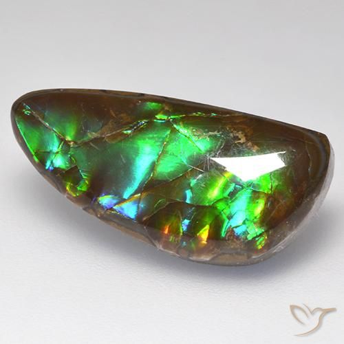 amolita Multicolor natural de 10.29 ct, Elegante, Opaco