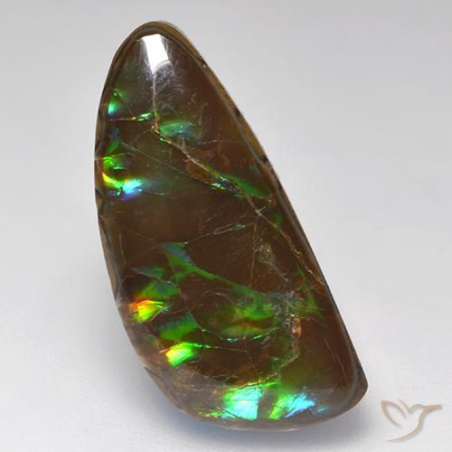 amolita Multicolor natural de 10.29 ct, Elegante, Opaco