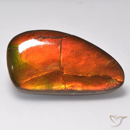16.93ct Natural Multicolor amolita, Elegante, Opaco