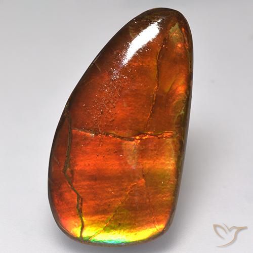 amolita Multicolor natural de 16.93 ct, Elegante, Opaco