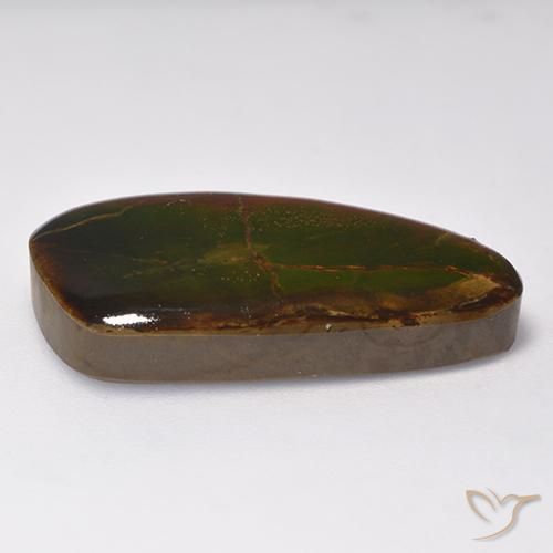 amolita Multicolor natural de 16.93 ct, Elegante, Opaco