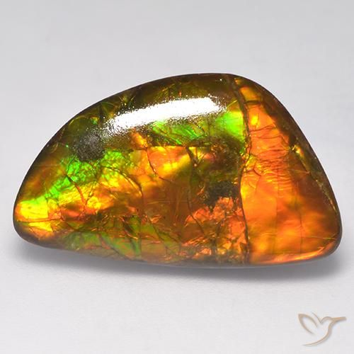 Ammolita multicolor natural de 14,90 ct, forma elegante, opaco