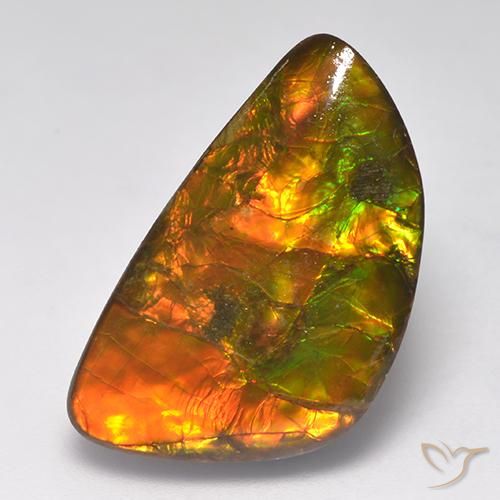 Ammolita multicolor natural de 14,90 ct, forma elegante, opaco