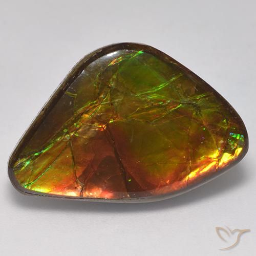 14.18ct Natural Multicolor amolita, Elegante, Opaco