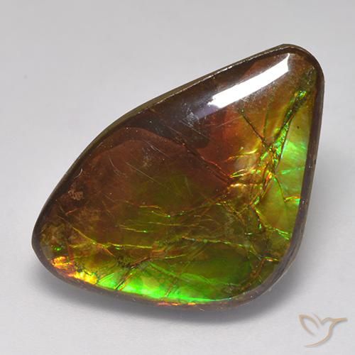 amolita Multicolor natural de 14.18 ct, Elegante, Opaco