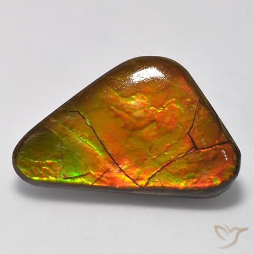 13.81ct Natural Multicolor amolita, Elegante, Opaco