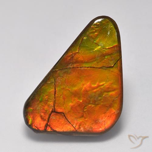 amolita Multicolor natural de 13.81 ct, Elegante, Opaco