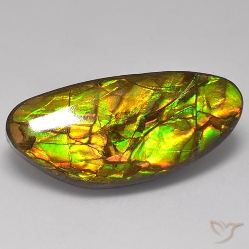 17.56ct Natural Multicolor amolita, Elegante, Opaco