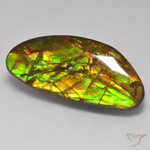 amolita Multicolor natural de 17.56 ct, Elegante, Opaco