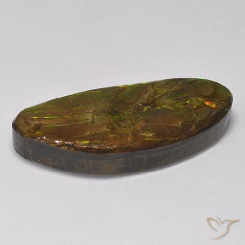 amolita Multicolor natural de 17.56 ct, Elegante, Opaco