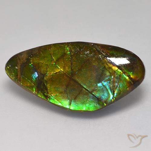 13.97ct Natural Multicolor amolita, Elegante, Opaco