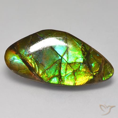amolita Multicolor natural de 13.97 ct, Elegante, Opaco