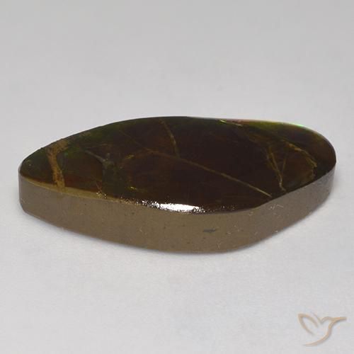 amolita Multicolor natural de 13.97 ct, Elegante, Opaco