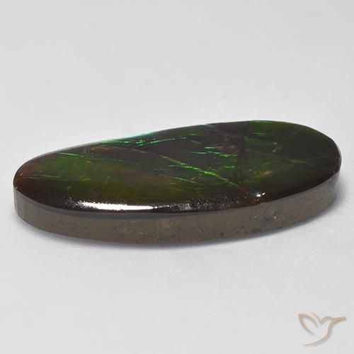 amolita Multicolor natural de 16.31 ct, Elegante, Opaco