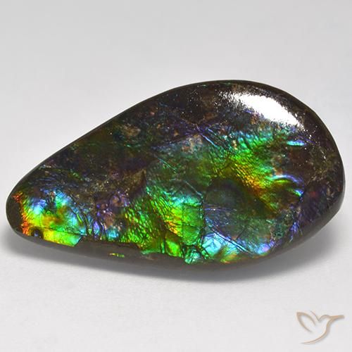 18.05ct Natural Multicolor amolita, Elegante, Opaco