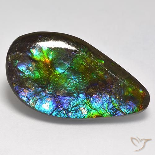 amolita Multicolor natural de 18.05 ct, Elegante, Opaco