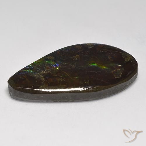 amolita Multicolor natural de 18.05 ct, Elegante, Opaco