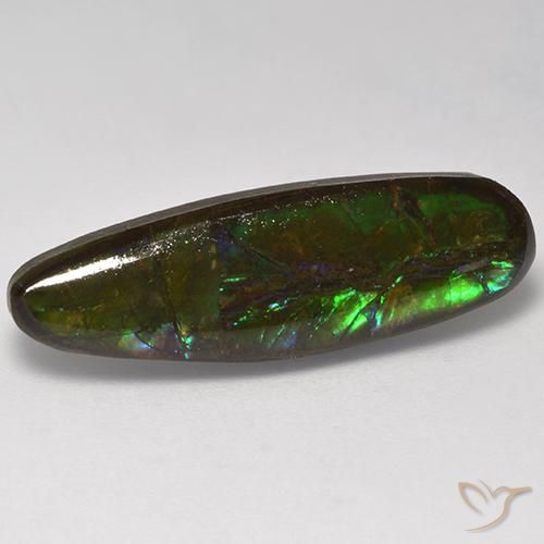 10.95ct Natural Multicolor amolita, Elegante, Opaco