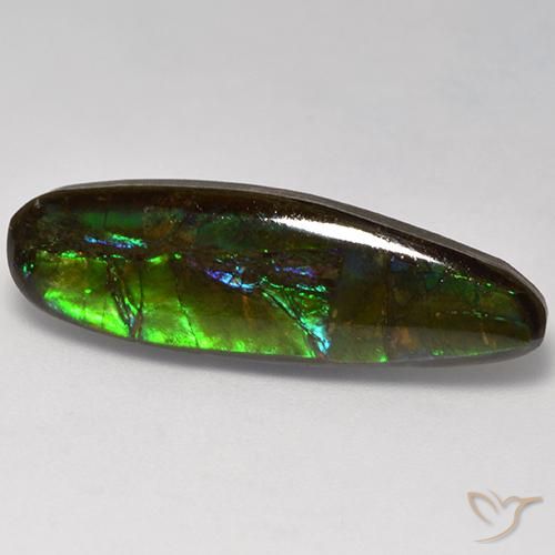 amolita Multicolor natural de 10.95 ct, Elegante, Opaco