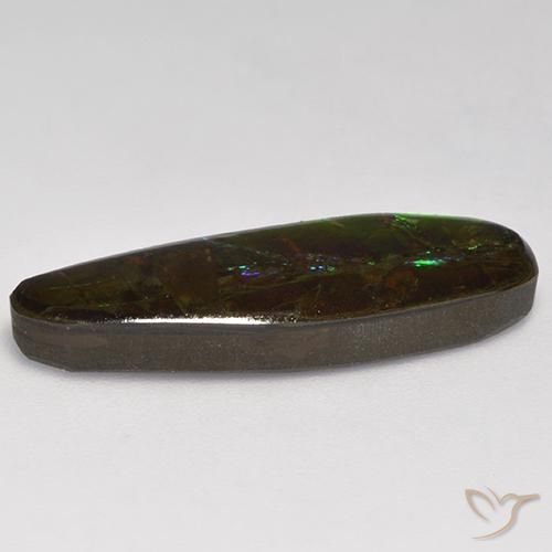 amolita Multicolor natural de 10.95 ct, Elegante, Opaco
