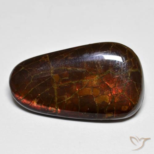 14.44ct Natural Multicolor amolita, Elegante, Opaco
