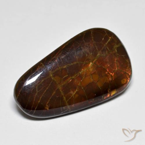 amolita Multicolor natural de 14.44 ct, Elegante, Opaco