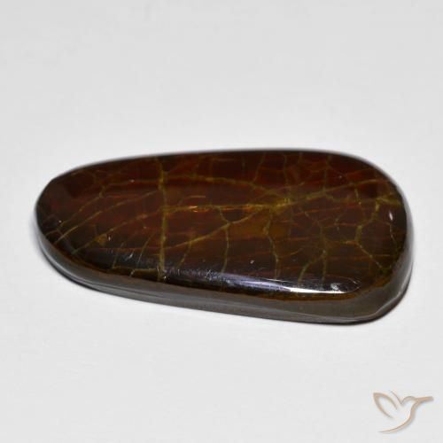 amolita Multicolor natural de 14.44 ct, Elegante, Opaco