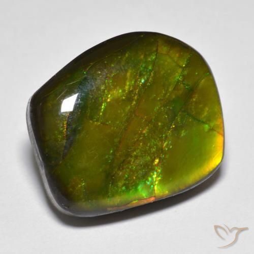13.07ct Natural Multicolor amolita, Elegante, Opaco