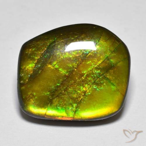 amolita Multicolor natural de 13.07 ct, Elegante, Opaco