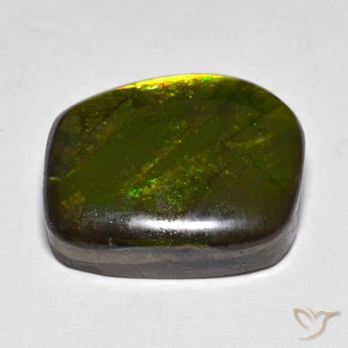 amolita Multicolor natural de 13.07 ct, Elegante, Opaco