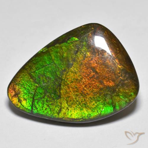 16.66ct Natural Multicolor amolita, Elegante, Opaco