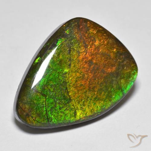 amolita Multicolor natural de 16.66 ct, Elegante, Opaco