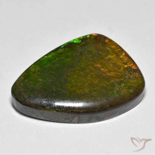 amolita Multicolor natural de 16.66 ct, Elegante, Opaco
