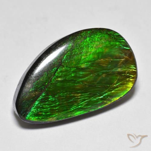 amolita Multicolor natural de 12.81 ct, Elegante, Opaco
