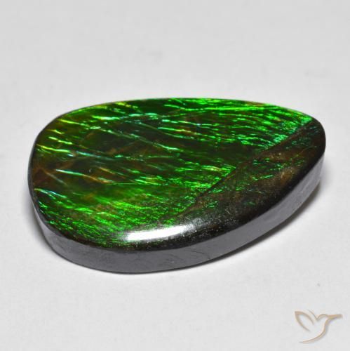 amolita Multicolor natural de 12.81 ct, Elegante, Opaco