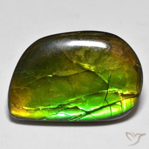 16.89ct Natural Multicolor amolita, Elegante, Opaco