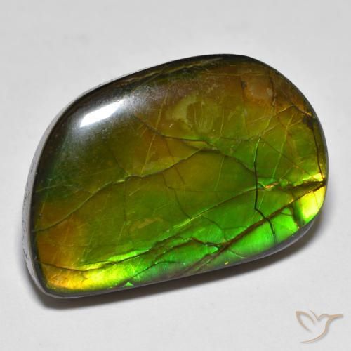 amolita Multicolor natural de 16.89 ct, Elegante, Opaco