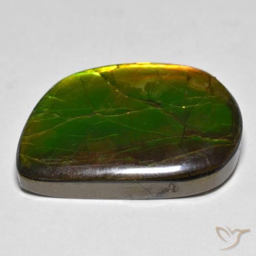 amolita Multicolor natural de 16.89 ct, Elegante, Opaco