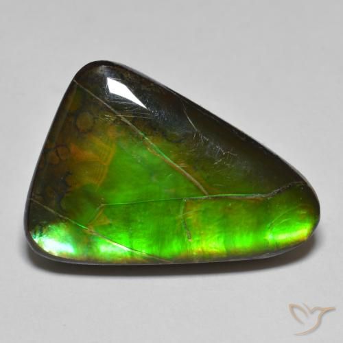 15.34ct Natural Multicolor amolita, Elegante, Opaco
