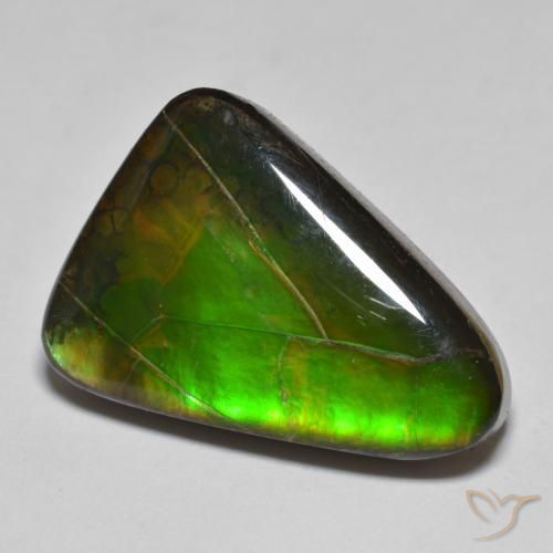 amolita Multicolor natural de 15.34 ct, Elegante, Opaco