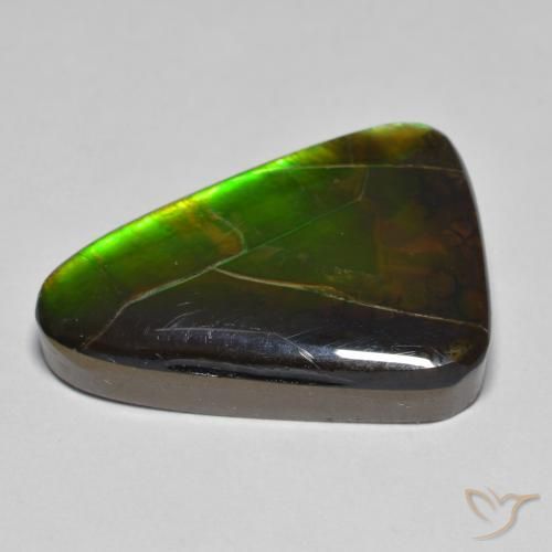 amolita Multicolor natural de 15.34 ct, Elegante, Opaco