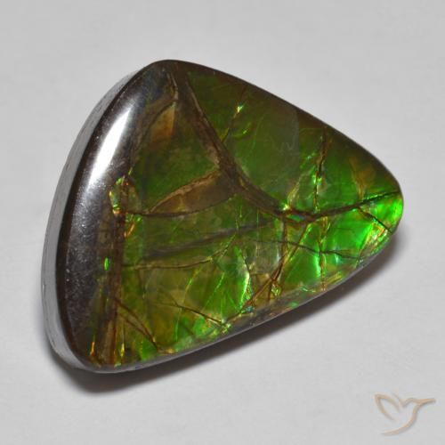 amolita Multicolor natural de 10.78 ct, Elegante, Opaco