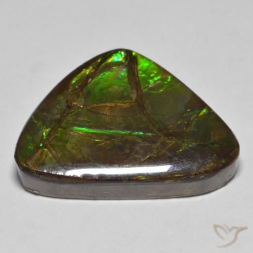 amolita Multicolor natural de 10.78 ct, Elegante, Opaco