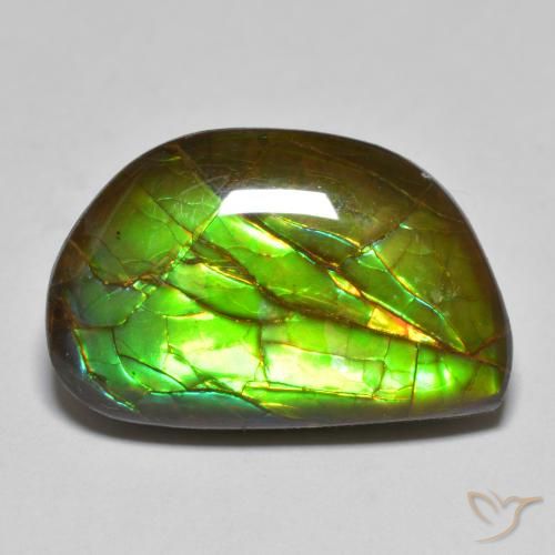11.66ct Natural Multicolor amolita, Elegante, Opaco
