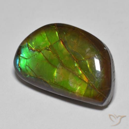 amolita Multicolor natural de 11.66 ct, Elegante, Opaco