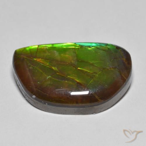 amolita Multicolor natural de 11.66 ct, Elegante, Opaco