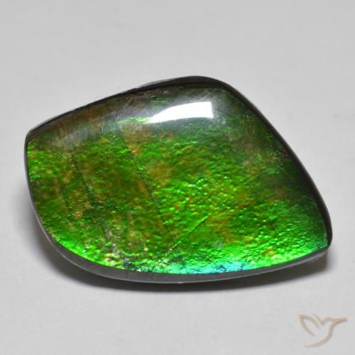 11.78ct Natural Multicolor amolita, Elegante, Opaco
